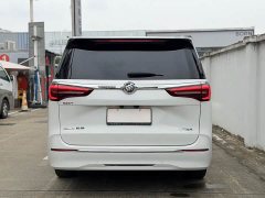 Buick GL8 ES Land Respect 653T Luxury - ფოტო 11