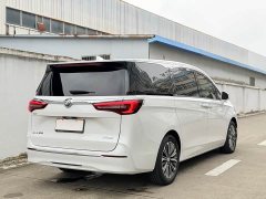 Buick GL8 ES Land Respect 653T Luxury - ფოტო 12