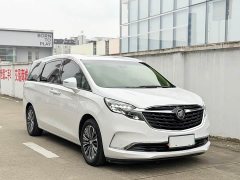 Buick GL8 ES Land Respect 653T Luxury - ფოტო 3