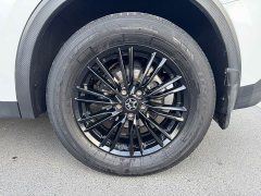 Nissan Arrizo DV 260T Dark Horse Edition Idol - ფოტო 10