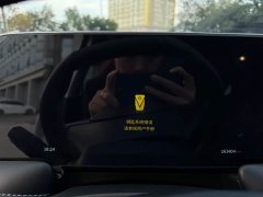 Nissan Arrizo DV 260T Dark Horse Edition Idol - ფოტო 16