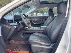 Nissan Arrizo DV 260T Dark Horse Edition Idol - ფოტო 4