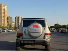 Tank 700 New Energy Hi4-T Ultimate Edition - ფოტო 8