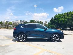 Great Wall WEY Mocha 2021 2.0T Two-Wheel Drive Premium Edition - ფოტო 14