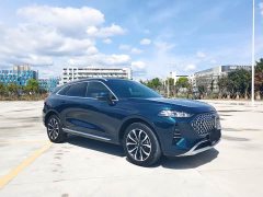 Great Wall WEY Mocha 2021 2.0T Two-Wheel Drive Premium Edition - ფოტო 3