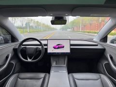 Tesla Model 3 2023 Rear-Wheel Drive - ფოტო 8