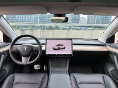 Tesla Model 3 Rear-Wheel Drive - ფოტო 10