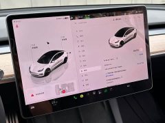 Tesla Model 3 Rear-Wheel Drive - ფოტო 11