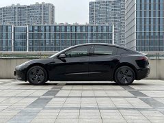 Tesla Model 3 Rear-Wheel Drive - ფოტო 15