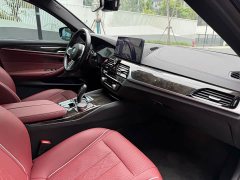 BMW 5 Series Facelift 525Li Luxury Package - ფოტო 9