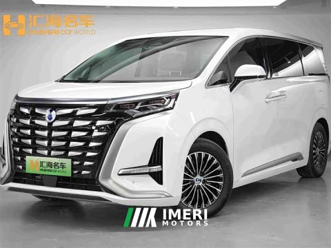2023 Denza D9 2022 DM-i 970 AWD Flagship - ავტომობილი ჩინეთიდან