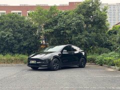 Tesla Model Y Long Range All-Wheel Drive - ფოტო 1