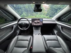 Tesla Model Y Long Range All-Wheel Drive - ფოტო 12
