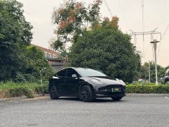 Tesla Model Y Long Range All-Wheel Drive - ფოტო 3