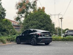 Tesla Model Y Long Range All-Wheel Drive - ფოტო 5