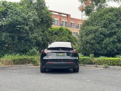 Tesla Model Y Long Range All-Wheel Drive - ფოტო 6