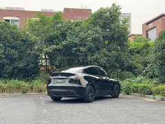 Tesla Model Y Long Range All-Wheel Drive - ფოტო 7