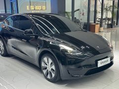 Tesla Model Y 2022 Facelift Rear-Wheel Drive - ფოტო 1