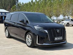 Buick GL8 ES Luxe Enjoyment Edition - ფოტო 3