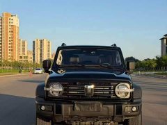 Tank 300 2.0T Gasoline Conqueror - ფოტო 2