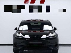 Tesla Model 3 Standard Range RWD Upgrade - ფოტო 2