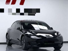 Tesla Model 3 Standard Range RWD Upgrade - ფოტო 3