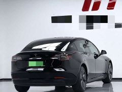 Tesla Model 3 Standard Range RWD Upgrade - ფოტო 9