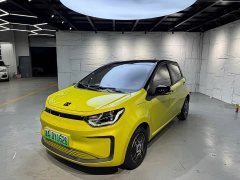Flower Fairy 302km Luxury 30.2kWh - ფოტო 1