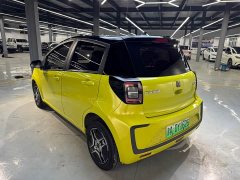 Flower Fairy 302km Luxury 30.2kWh - ფოტო 11