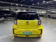 Flower Fairy 302km Luxury 30.2kWh - ფოტო 12
