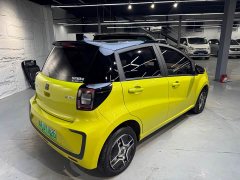 Flower Fairy 302km Luxury 30.2kWh - ფოტო 13