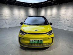 Flower Fairy 302km Luxury 30.2kWh - ფოტო 2
