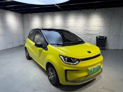 Flower Fairy 302km Luxury 30.2kWh - ფოტო 3