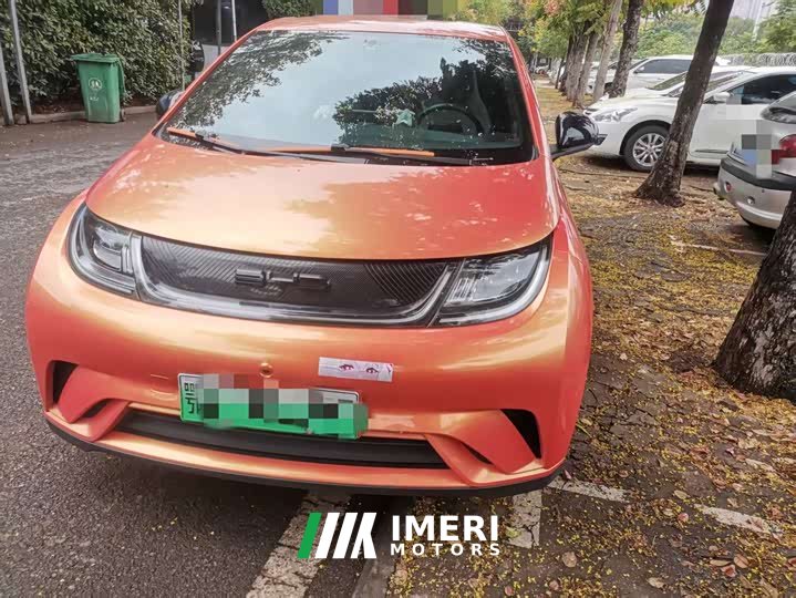 BYD Dolphin 405km Freedom Edition - ავტომობილი ჩინეთიდან