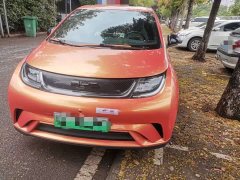 BYD Dolphin 405km Freedom Edition - ფოტო 1