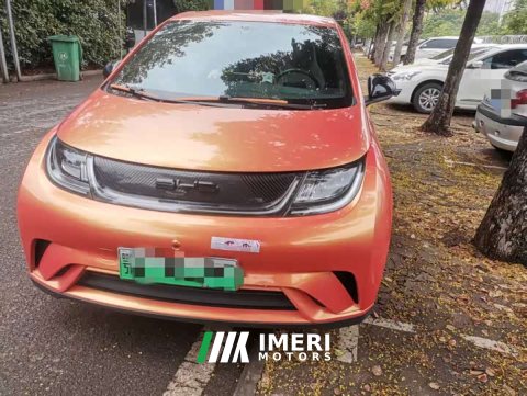 2022 BYD Dolphin 405km Freedom Edition - ავტომობილი ჩინეთიდან