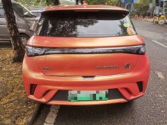BYD Dolphin 405km Freedom Edition - ფოტო 8