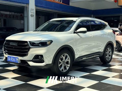 2022 Haval H6 2021 National Trend 1.5T Automatic Champion Edition - ავტომობილი ჩინეთიდან