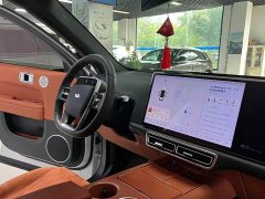 Li Auto L6 Pro Smart Refresh Edition - ფოტო 14