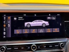 Bentley Flying Spur 4.0T V8 Elegance Edition - ფოტო 20