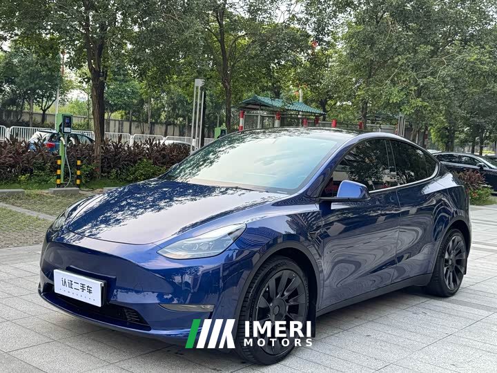 Tesla Model Y 2021 Long Range All-Wheel Drive 3D7 - ავტომობილი ჩინეთიდან