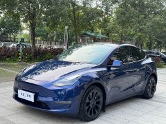 Tesla Model Y 2021 Long Range All-Wheel Drive 3D7 - ფოტო 1