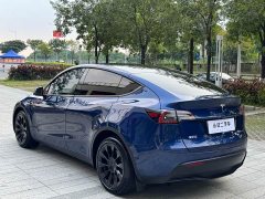 Tesla Model Y 2021 Long Range All-Wheel Drive 3D7 - ფოტო 10