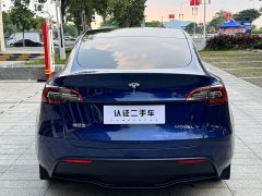 Tesla Model Y 2021 Long Range All-Wheel Drive 3D7 - ფოტო 11