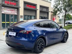 Tesla Model Y 2021 Long Range All-Wheel Drive 3D7 - ფოტო 12