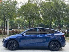 Tesla Model Y 2021 Long Range All-Wheel Drive 3D7 - ფოტო 13