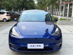 Tesla Model Y 2021 Long Range All-Wheel Drive 3D7 - ფოტო 2