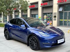 Tesla Model Y 2021 Long Range All-Wheel Drive 3D7 - ფოტო 3