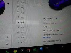 Tesla Model Y 2021 Long Range All-Wheel Drive 3D7 - ფოტო 4