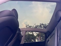 Tesla Model Y 2021 Long Range All-Wheel Drive 3D7 - ფოტო 9